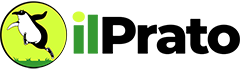 default-logo