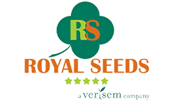 royal_seeds
