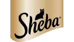 sheba