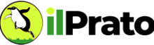 default-logo